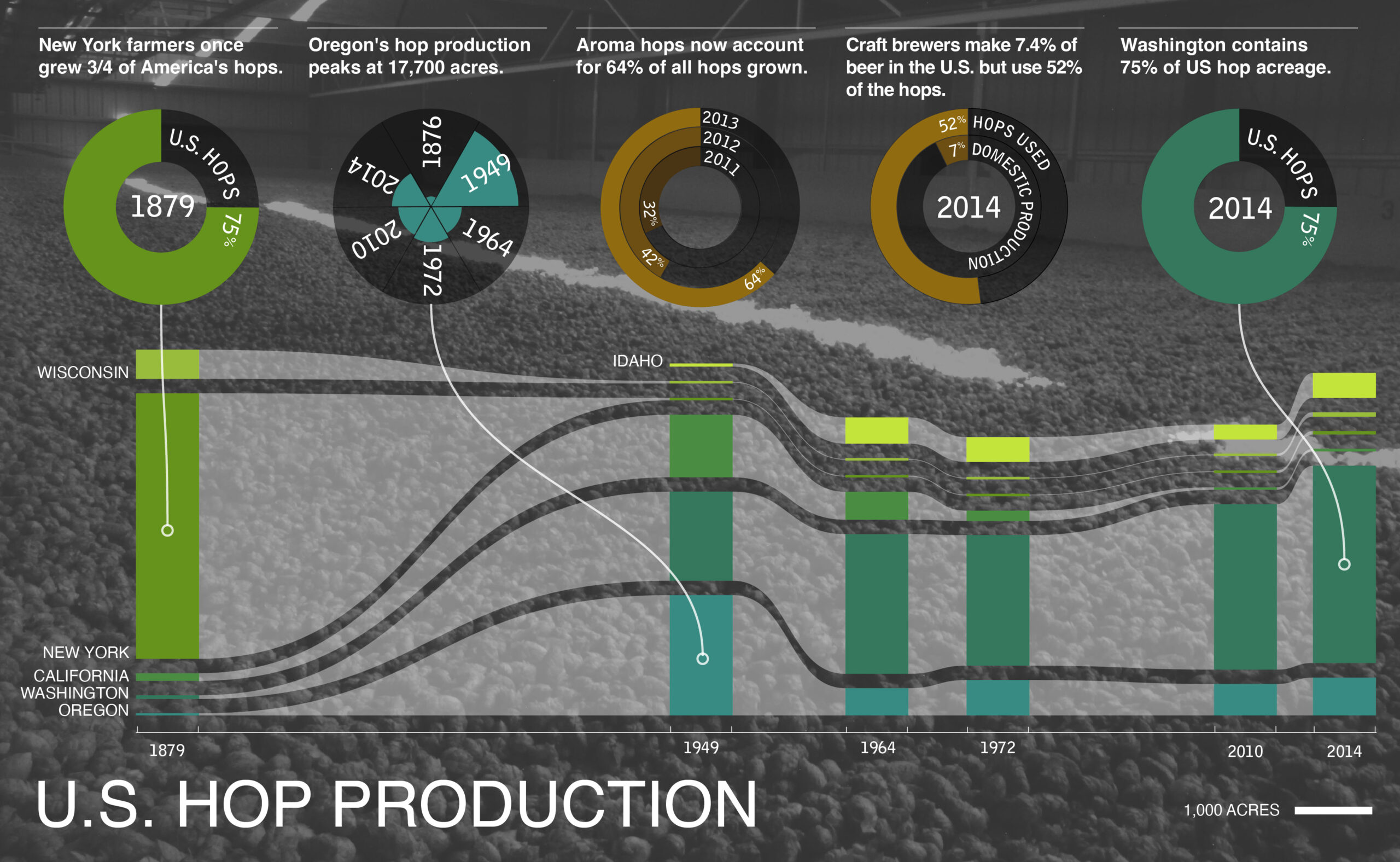 Hop Acreage Infogrpahic
