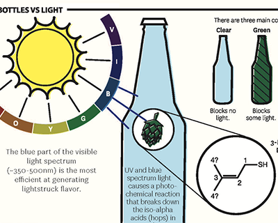 Beer Vessel Infographics
